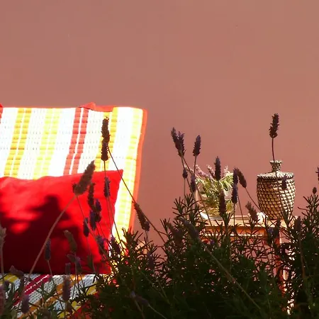 Terrace Castelo S.jorge Apartment Lisbon
