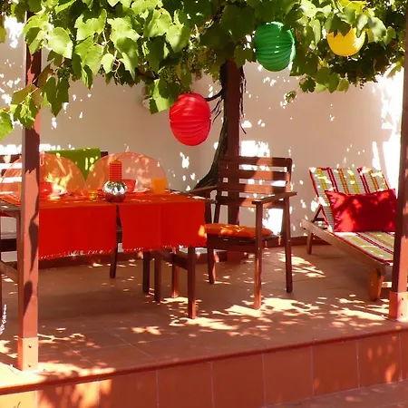 Terrace Castelo S.jorge Lisbon